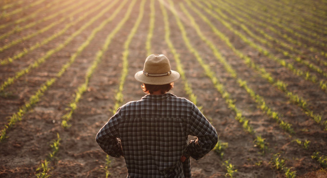 Produtos nacionais em prateleira de madeira